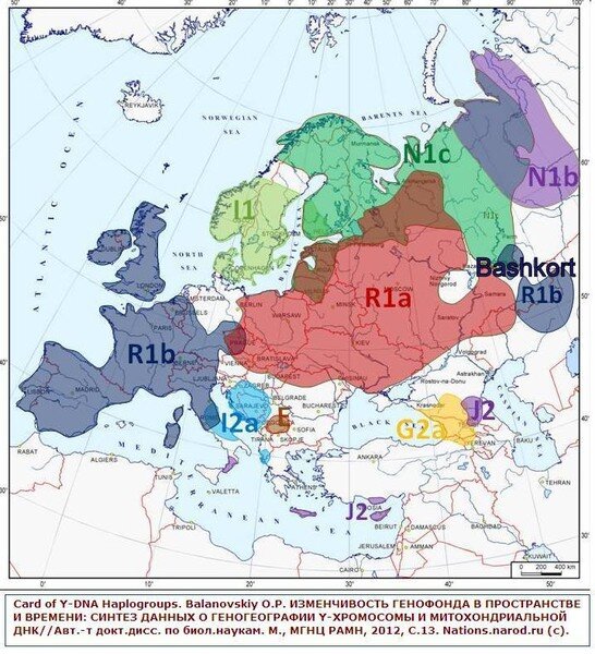 КАРТа расселения башКОРТской ГАПЛОГРУППЫ R 1b, который в древности формировался на территории БашКОРТостана и Западной Сибири.