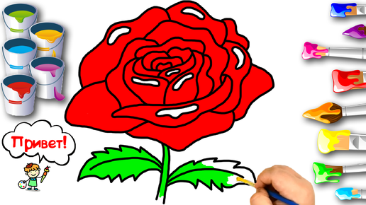 Раскраски Розы распечатать бесплатно