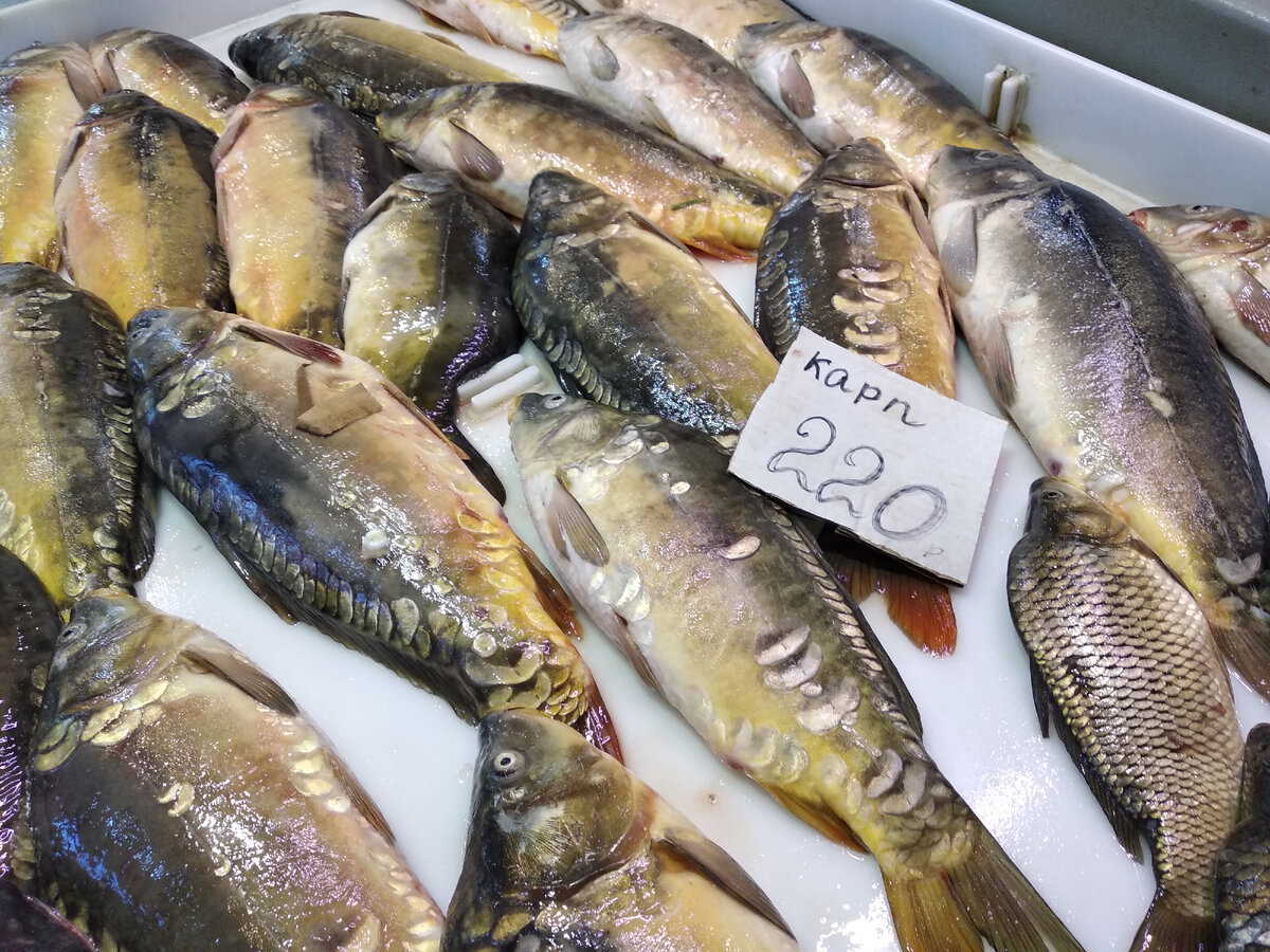 Этого карпа зеркального попробовали .  Нежно- потрясающий!!!