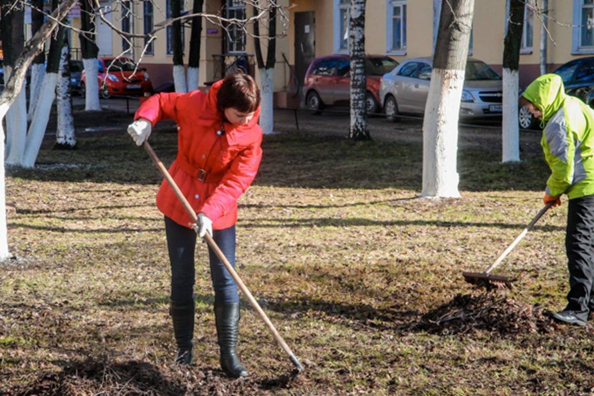 5 октября субботник. Субботник вологда. 5 октября субботник. Осенний субботник объявление. Объявление о субботнике.