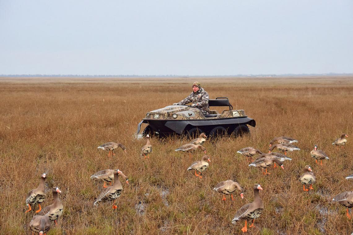охота на гусей на полях калмыкии. охотхозяйства калмыкии. охота на уток в казахстане. охота на волков в калмыкии. охота в калмыкии на гуся 2001.