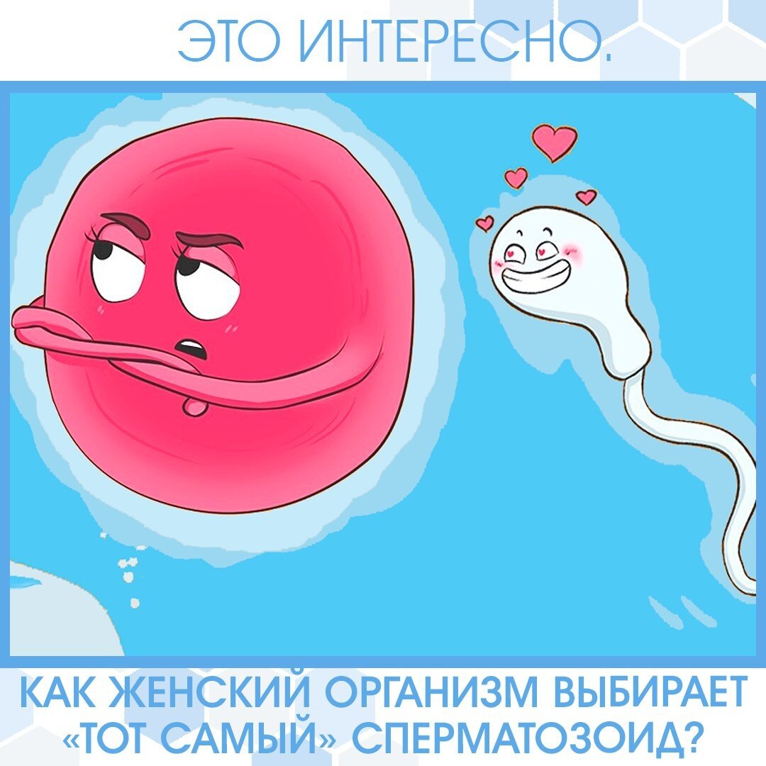 Это интересно! Забавные картинки. :3