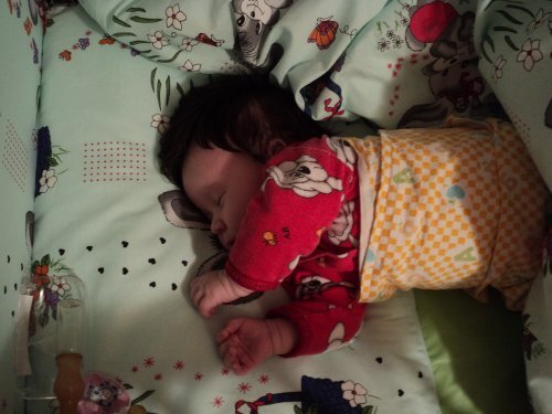 2011 год, Альбинуське 1,5 месяца