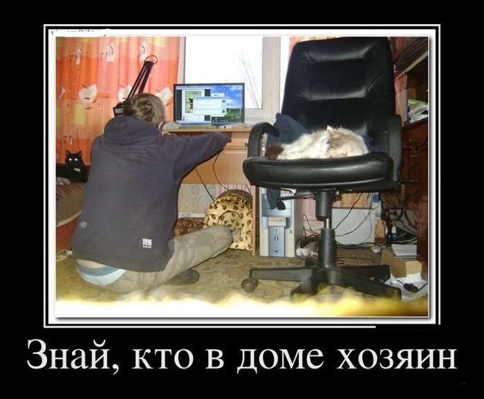 Властью над зрителями данной мне я объявляю, что отныне человеки сидят только на полу! И лежат тоже... И стоят... И т. д.