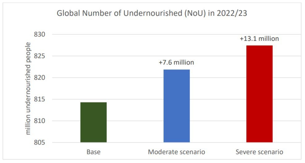 Прогнозные цифры от ФАО по количеству людей, которые будут испытывать голод в ближайшее время. 
