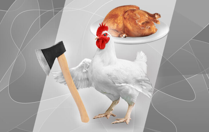 Вам не жалко живую, выращенную своими руками курицу превращать в куриную тушку?