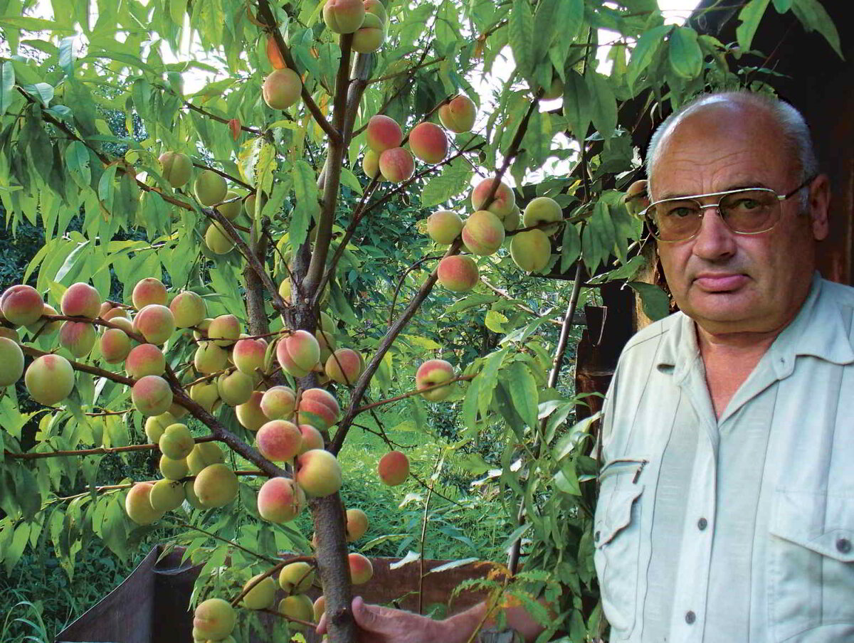 Валерий Железов