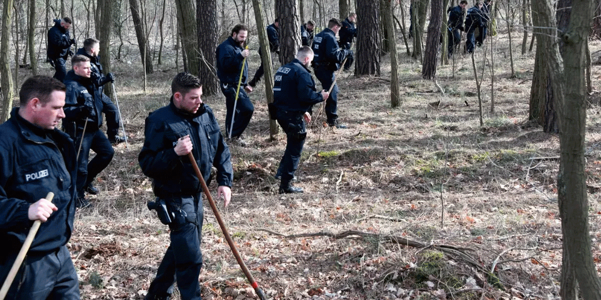 Поиски в лесном массиве