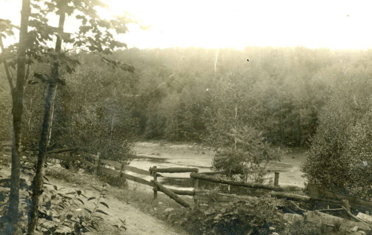 Берег пруда, где было найдено тело Хейзел Дрю