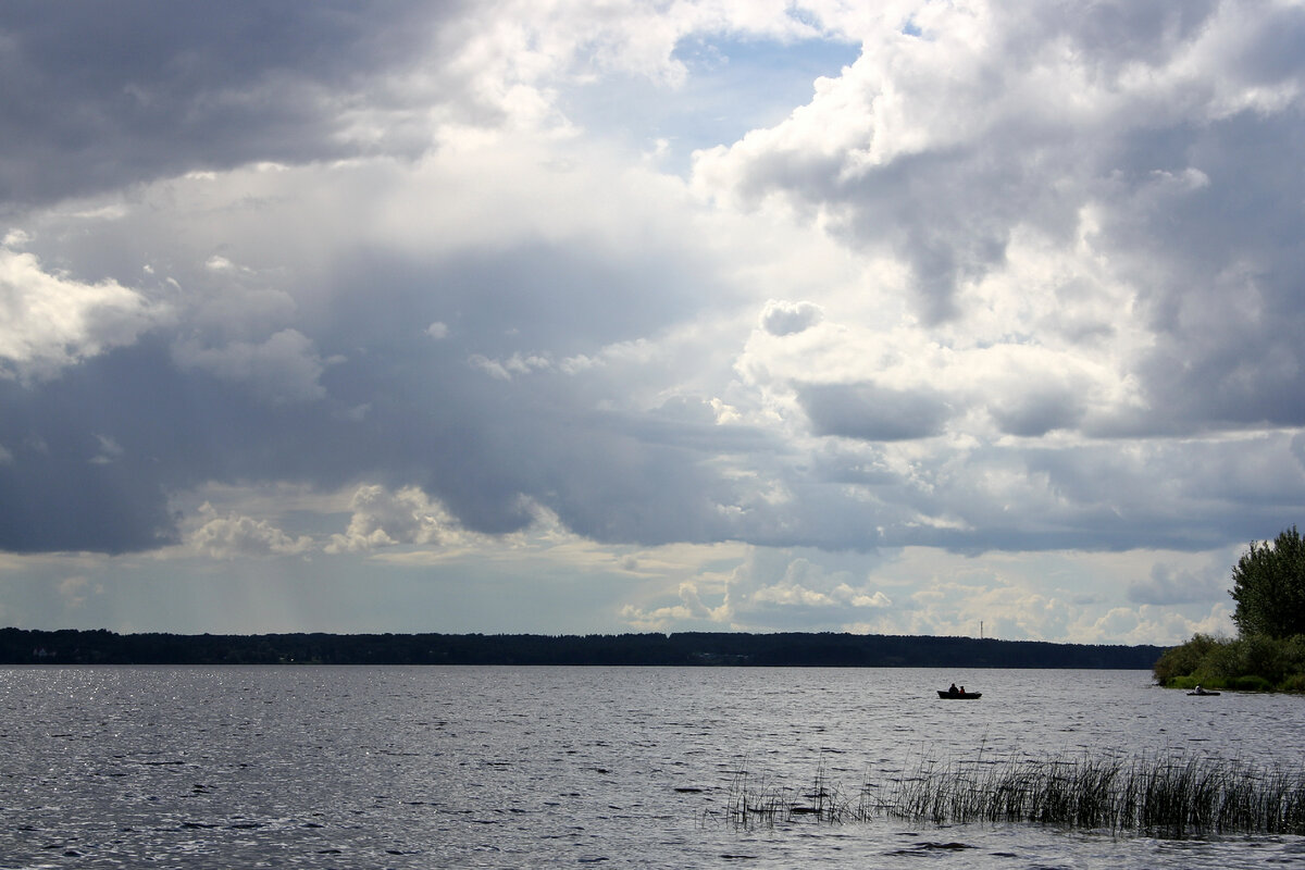 Озеро волго тверская. Озеро Волго Тверская область. Базы Чайка озеро Волго. Озеро в Волжском. Озеро Волго фото.