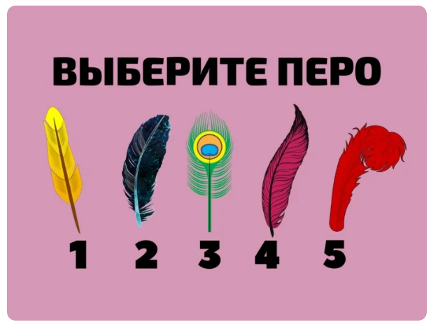 Изображение взято с открытых источников