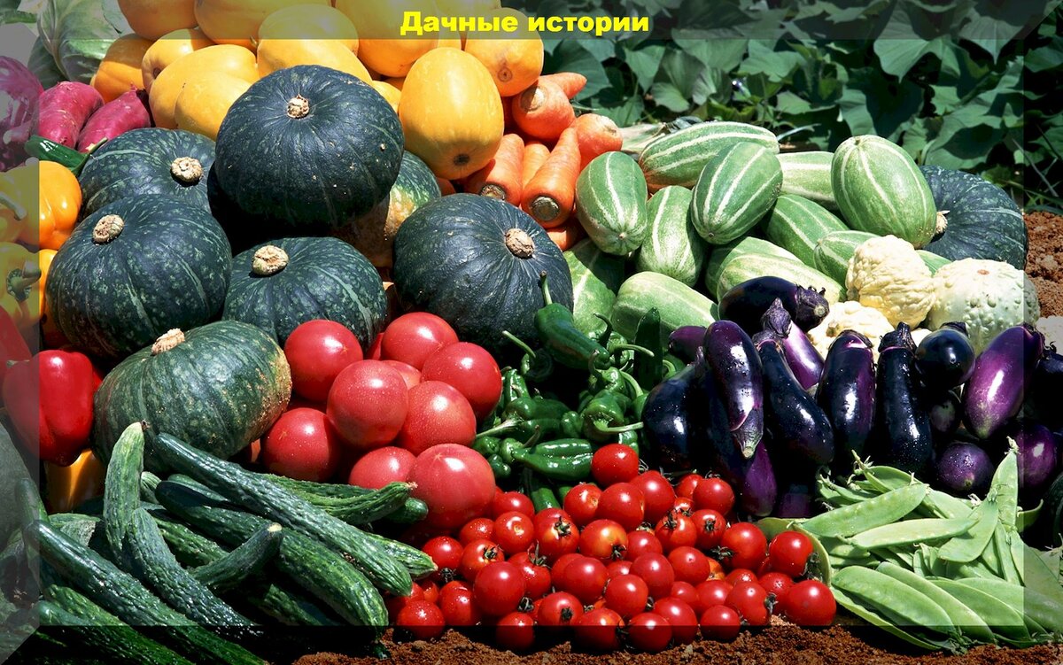 https://vk.com/photo-159774511_457254588