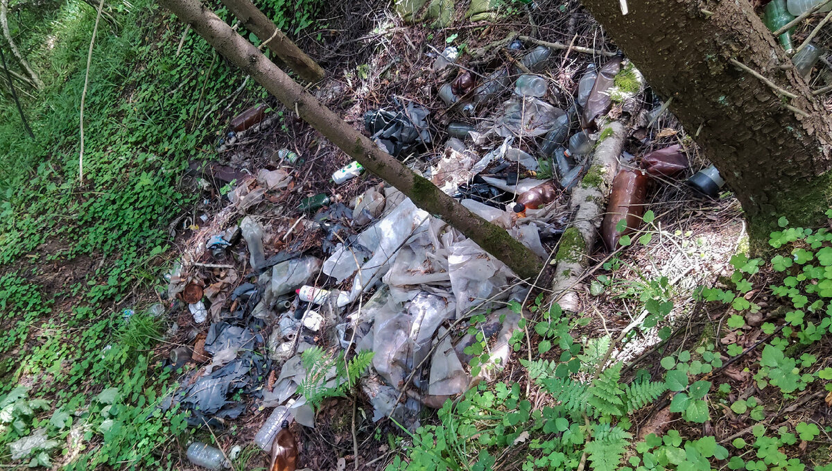 Незаконная свалка твердых бытовых отходов