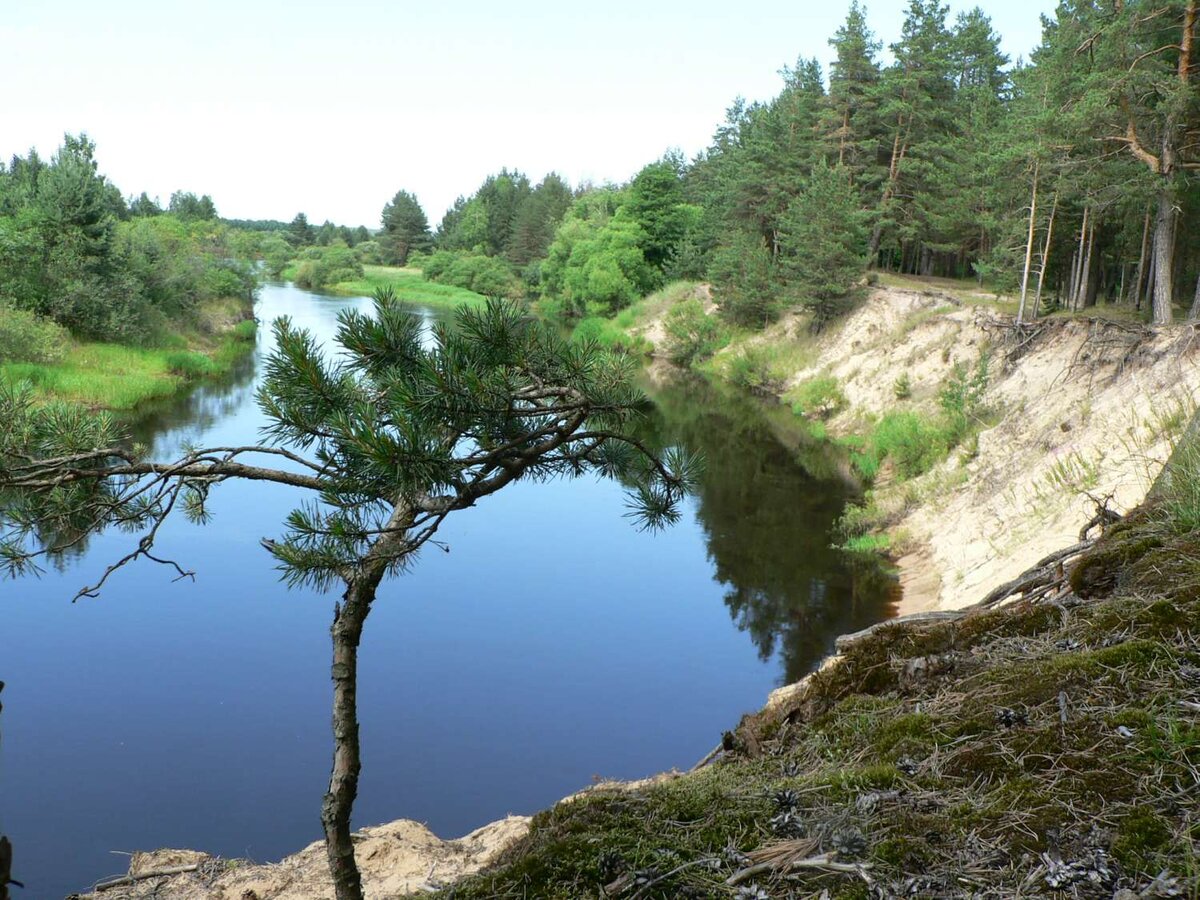 Заповедник мещера