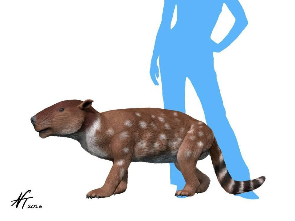 Пантолямбда: Это существо попыталось завоевать планету сразу же после вымирания динозавров. Что из этого получилось?2