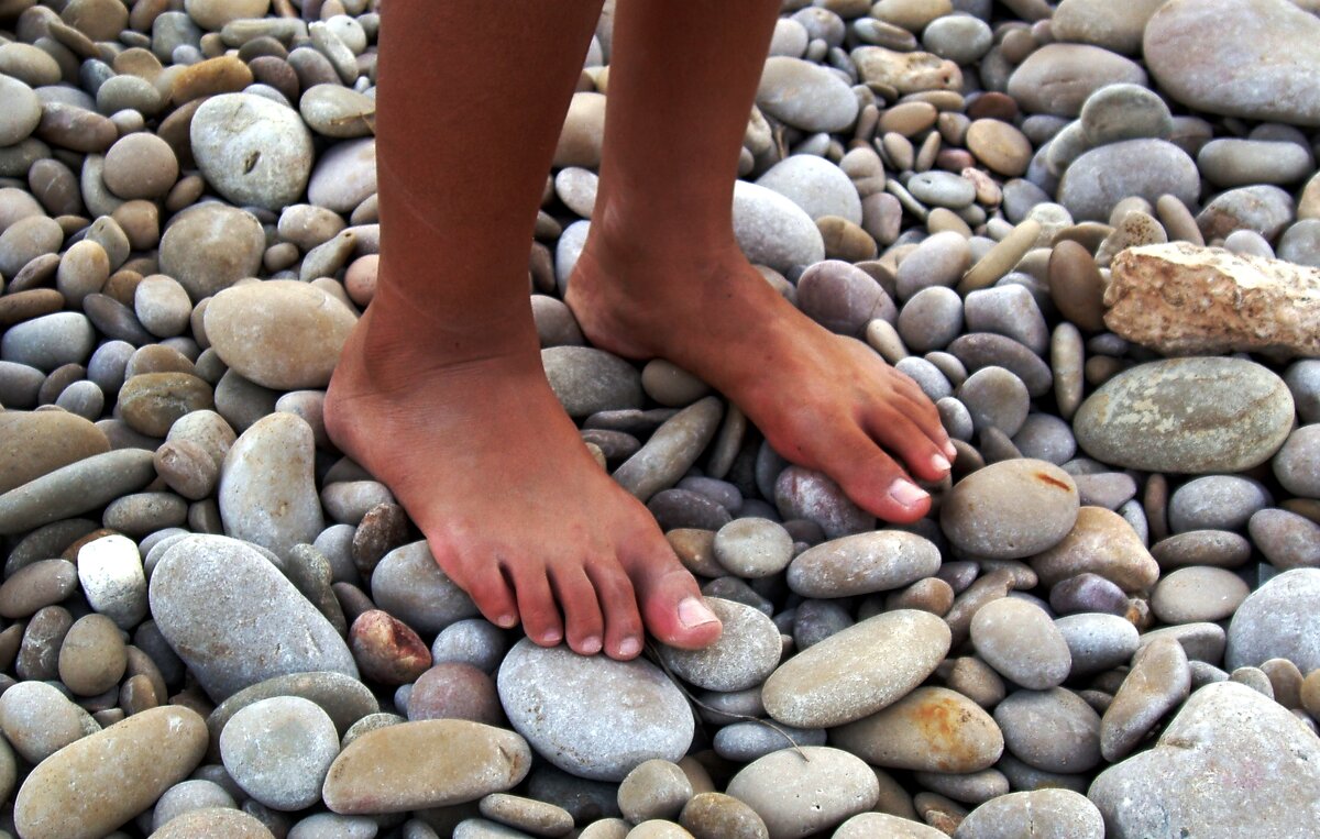 Из открытых источников 