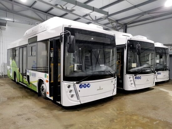     Фото: vk.com Марина Трескова