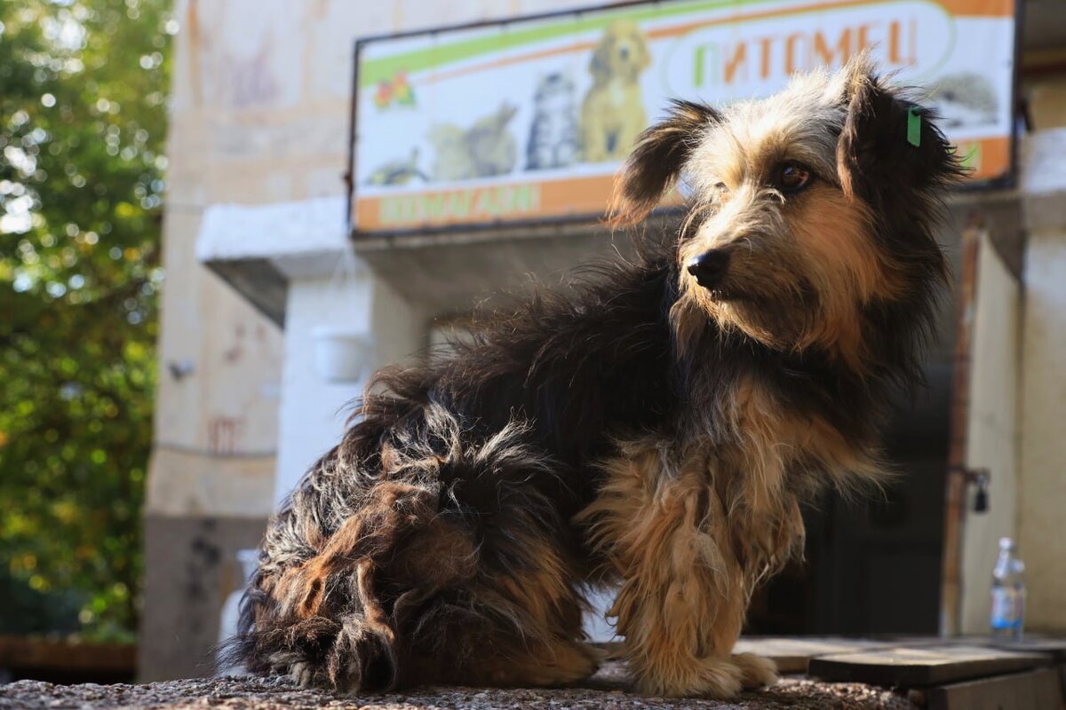 Фото: Наталья Сомова