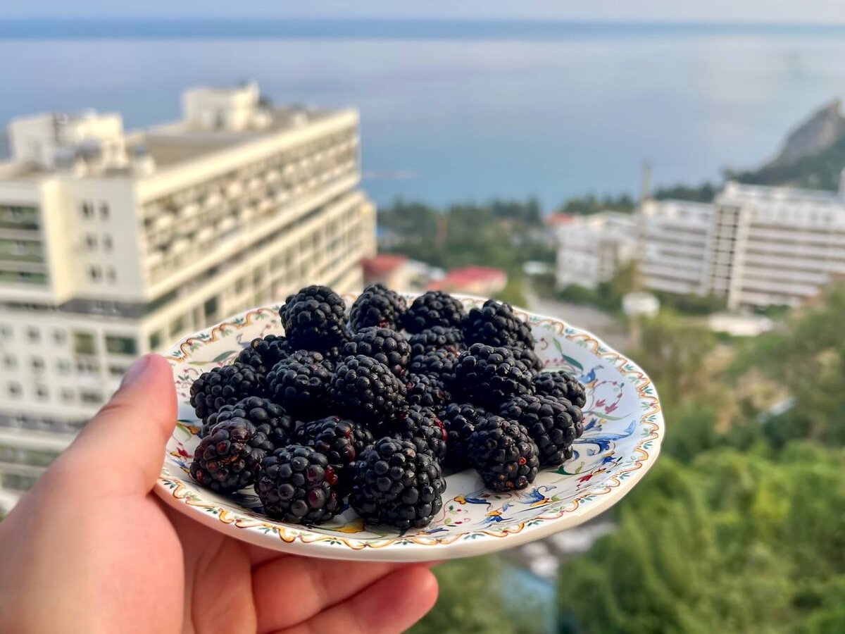 Ежевика богата антоцианами, которые способствуют окислению жиров и повышению чувствительности тканей к инсулину. Эти свойства оказывают положительное влияние на организм людей с сахарным диабетом.