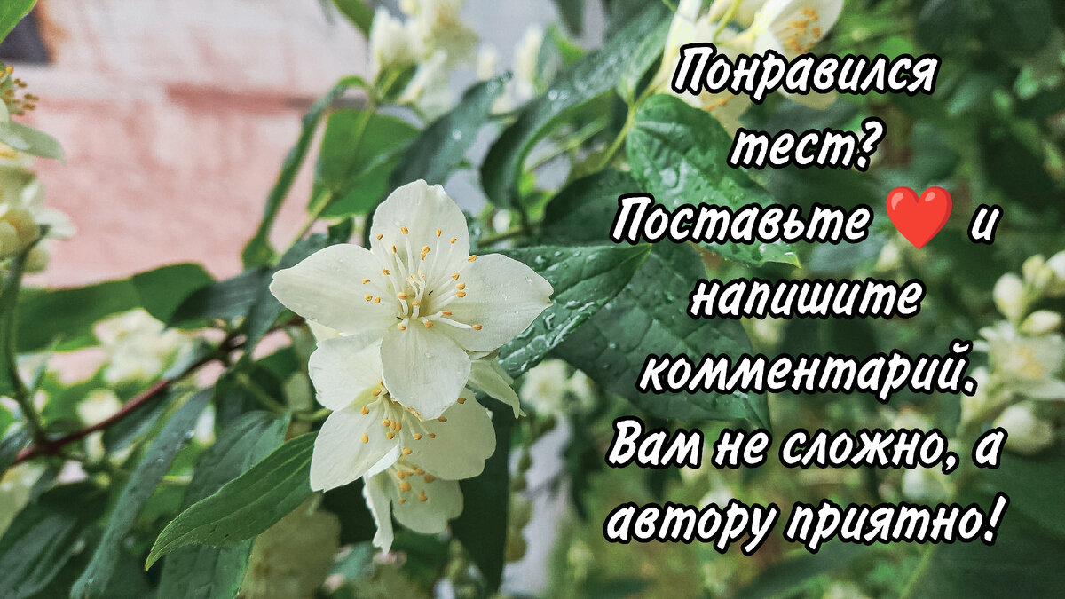 Спасибо за поддержку!