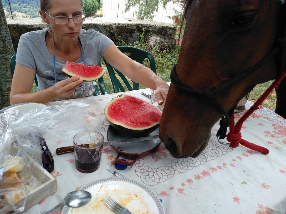 Небольшая галерея портретов нашей живности (листаем)