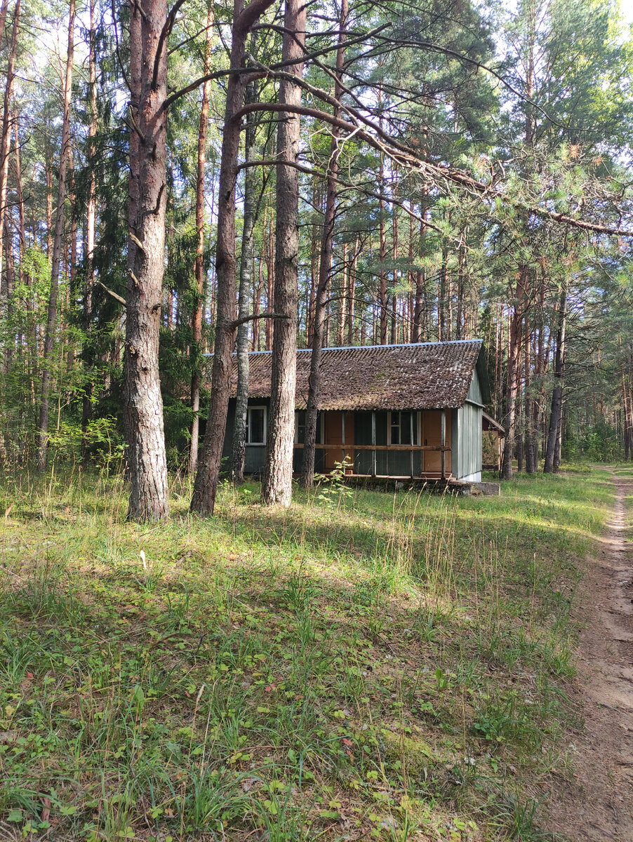 турбаза ветерок тольятти копылово. аил шашикман турбаза. усадьба шигиных ольхон. усть-алеус ордынский район. турбаза лунево костромская область.