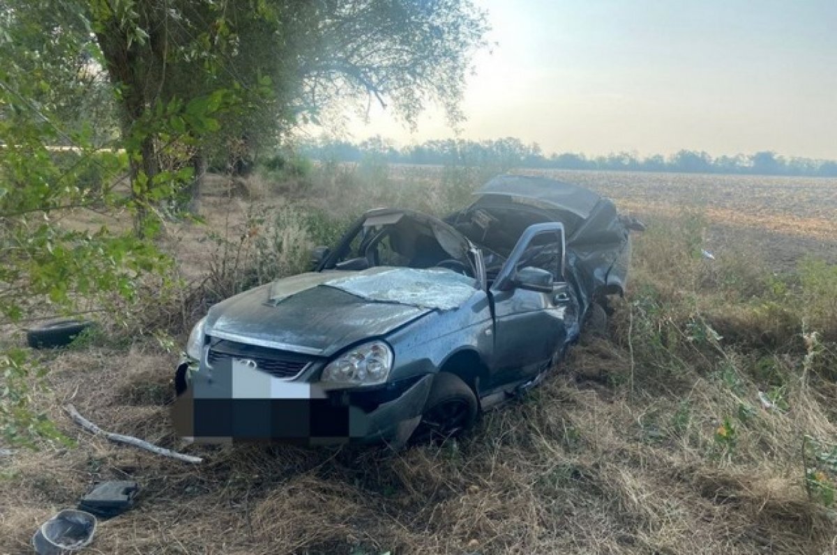    Машина опрокинулась и врезалась в дерево на Ставрополье, погиб пассажир