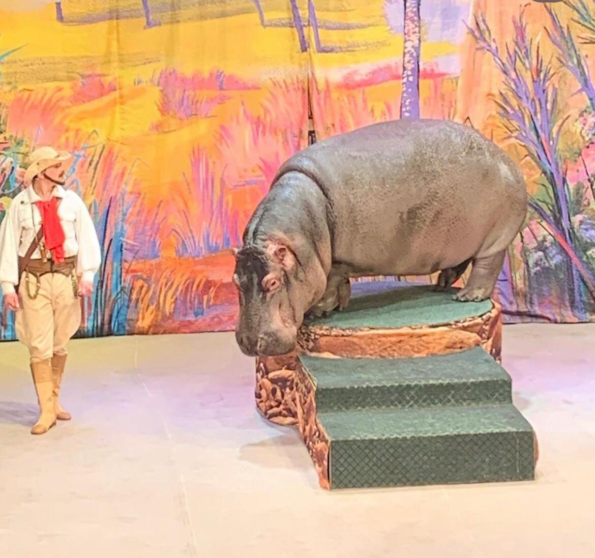 Спектакль По следам Снежной королевы в театре Уголок Дурова © "Покажу Москву"
