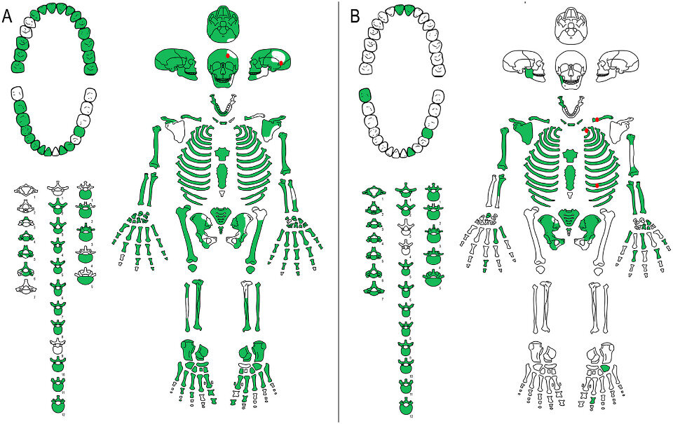 В Испании нашли убитых в раннем бронзовом веке мужчин N + 1 Дзен