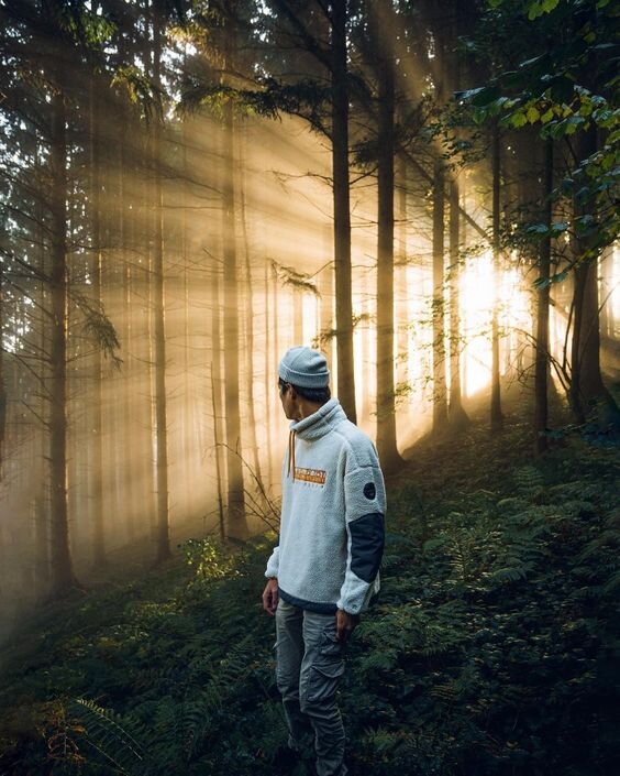 Источник: https://ru.pinterest.com/pin/704813410457035011/