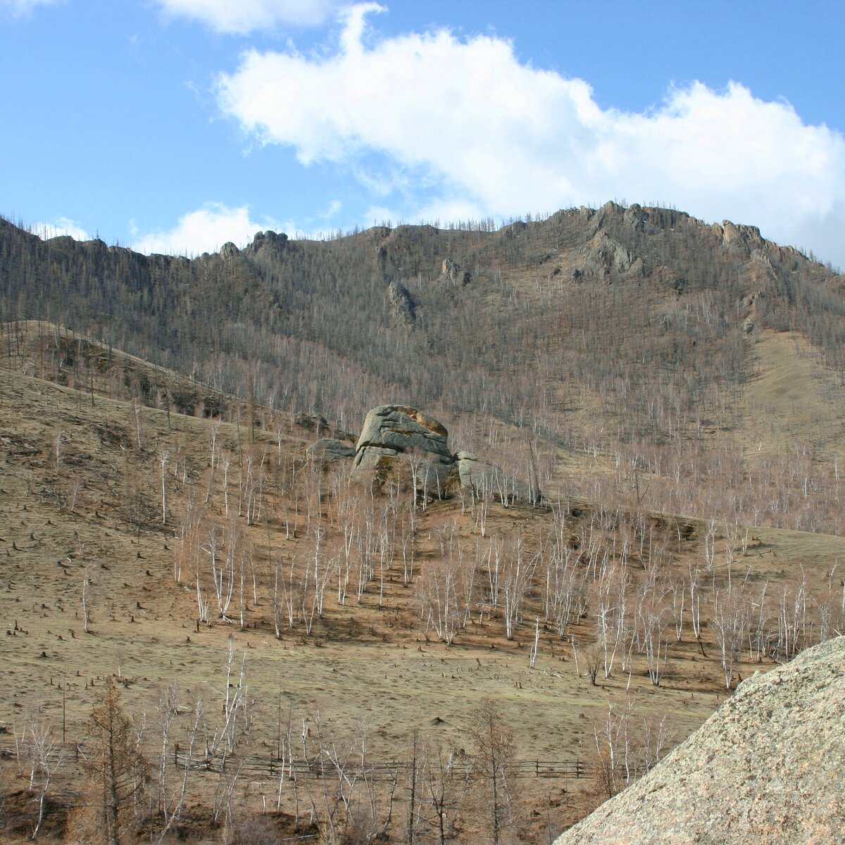 Типичный ландшафт парка