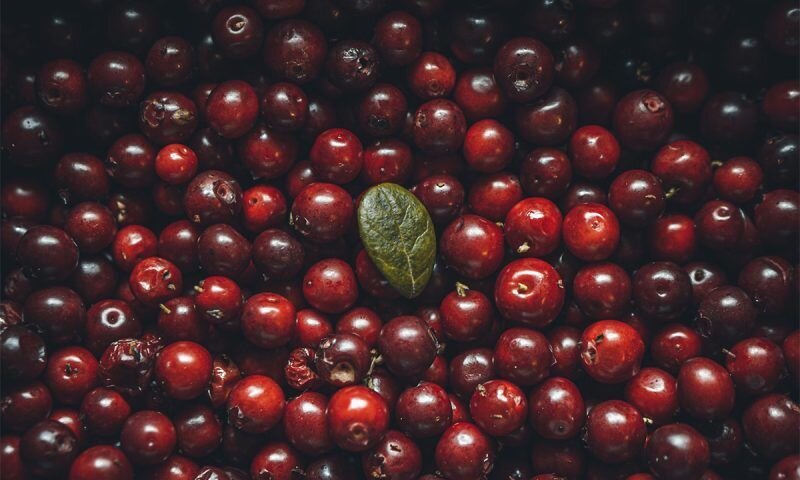 Фото unsplash.com
