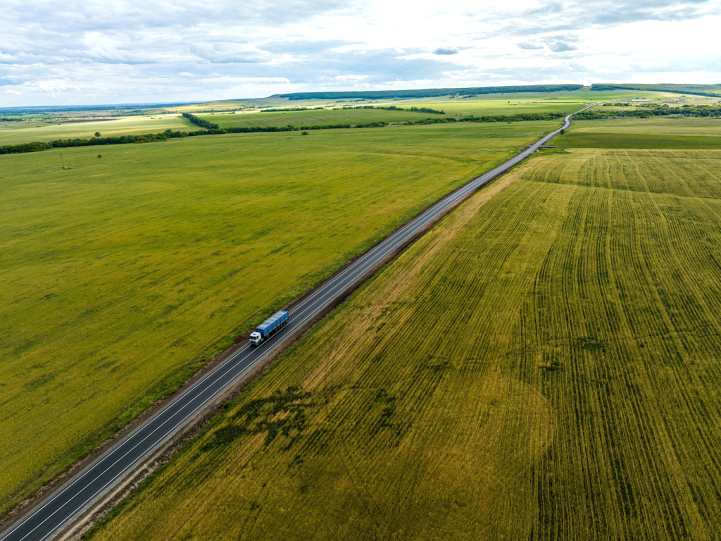 Фото: Тольятти 24