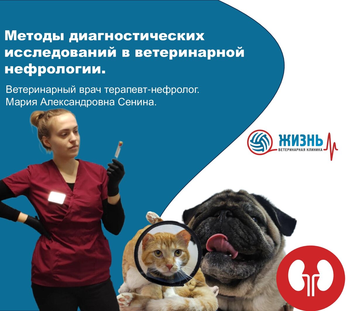 калуга жить отзывы