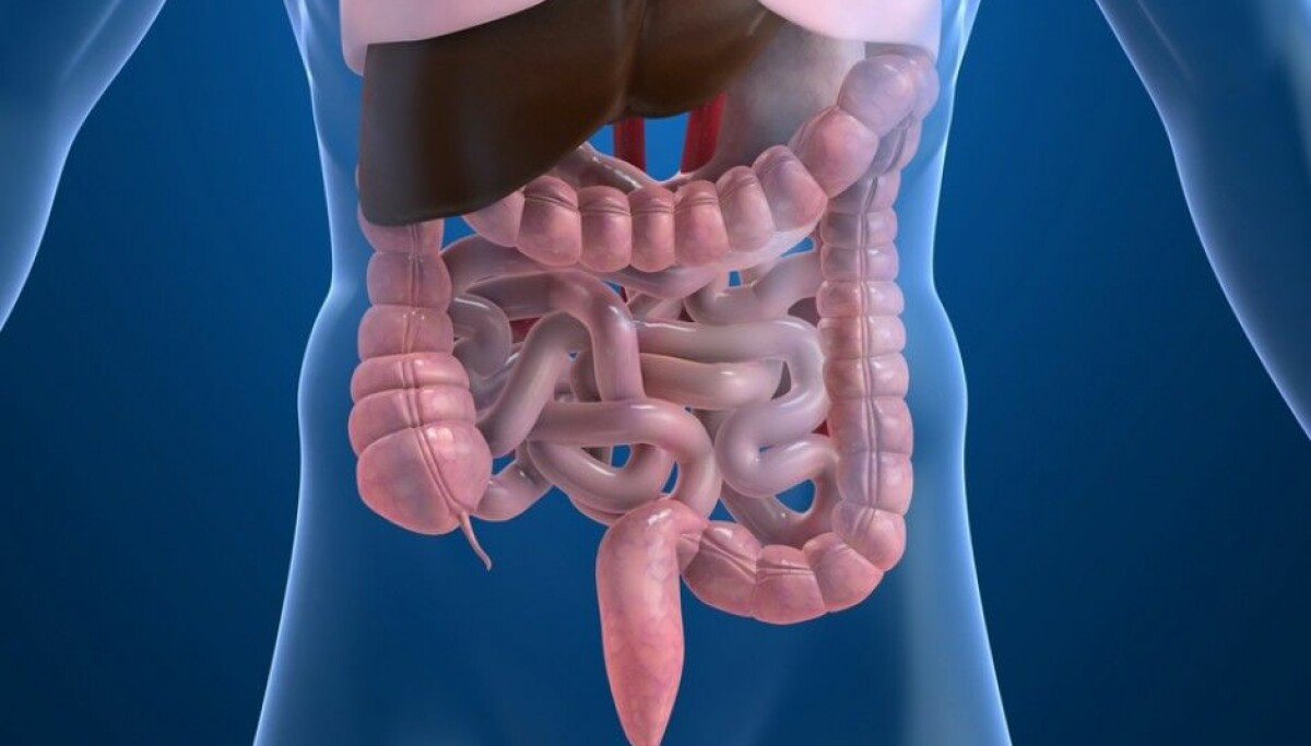 Кишечник картинка. Ошқозон ичак касалликлари.
