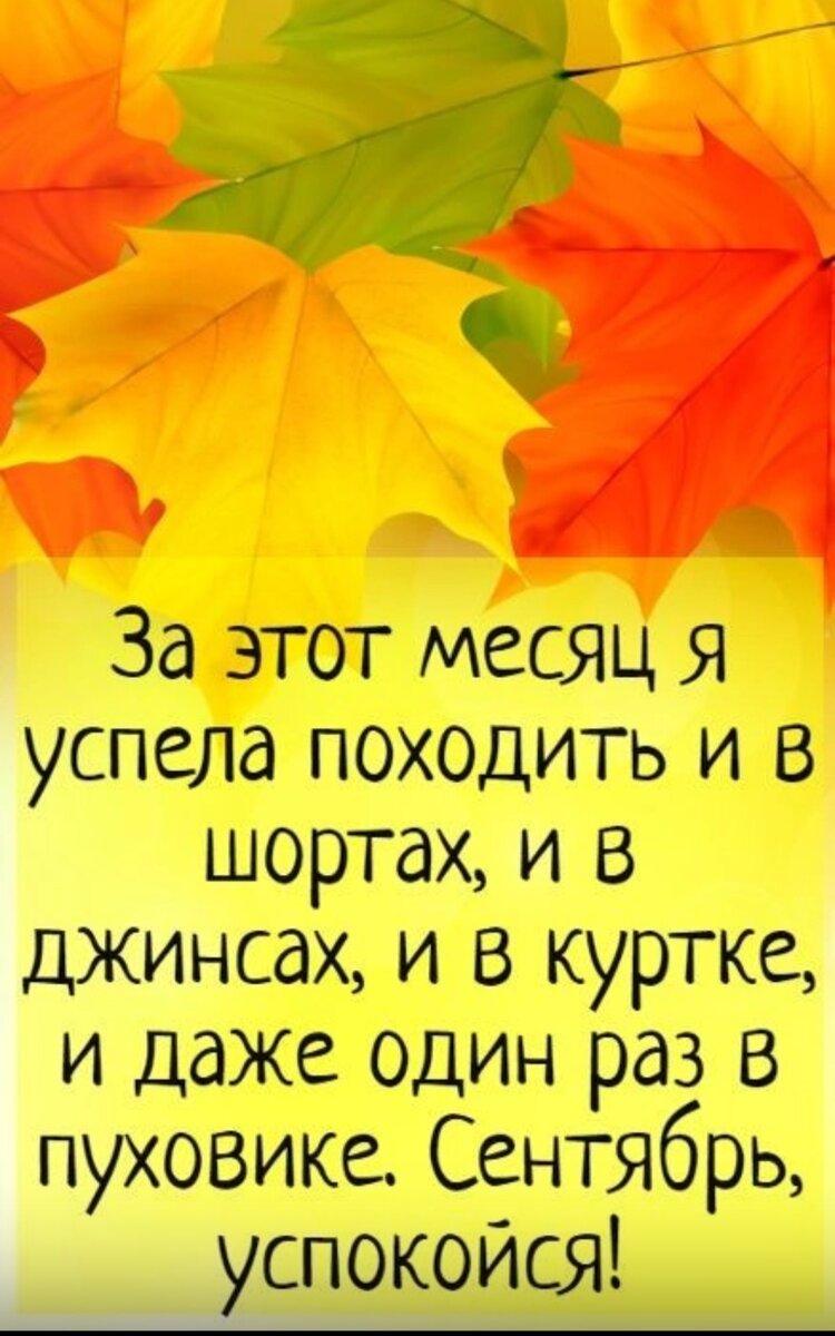 Цитаты про сентябрь. Осенние афоризмы Веселые. Смешные высказывания про осень. Статусы про осень. Осенние статусы в картинках.