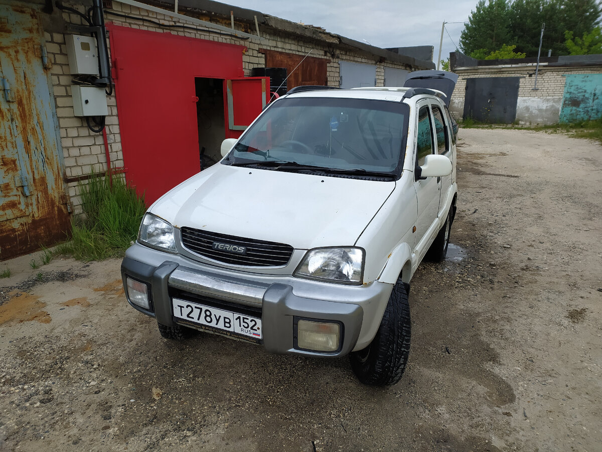 Были небольшие рыжики, которые хотелось убрать