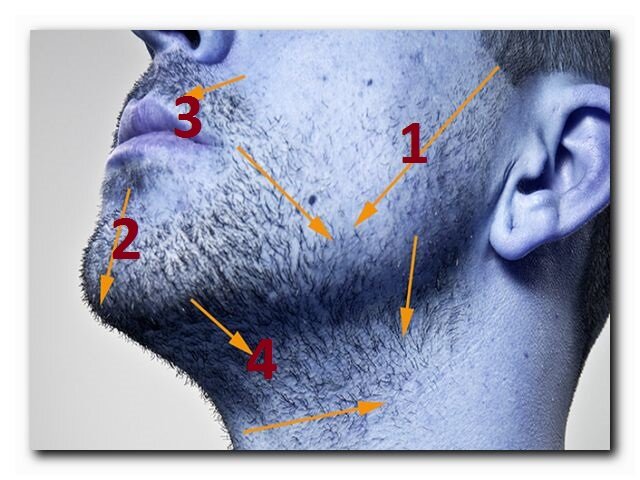 Карта роста волос для бритья