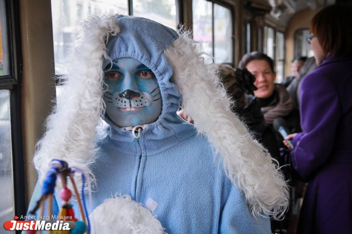 Фото: justmedia.ru  