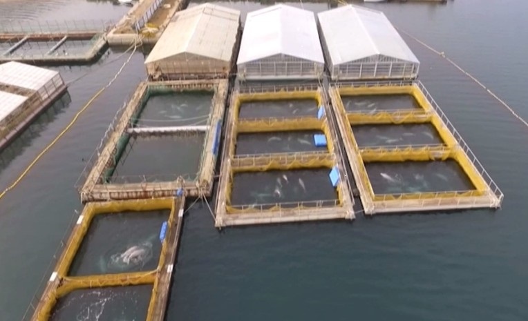 Подпишитесь на канал и поставьте лайк! Тем самым вы поможете каналу развиваться! Заранее спасибо!