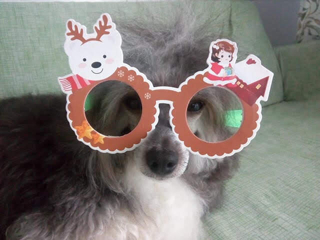 Фотопривет от Ферба