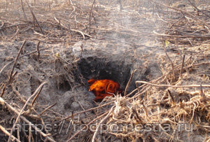 Подземный пожар на торфянике