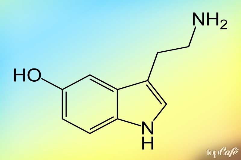 7 способов, как стать счастливым. Что такое серотонин и как повысить уровень гормона