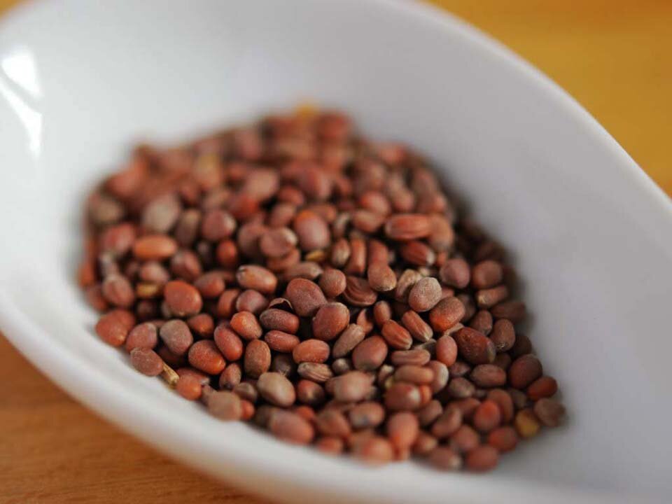 Фото с сайта: umhoz.com