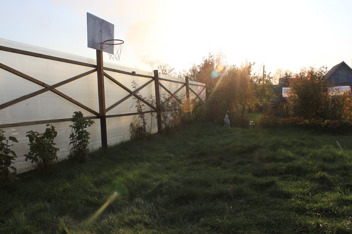 Стоит ли делать забор на даче из поликарбоната: опыт 3-летней ...