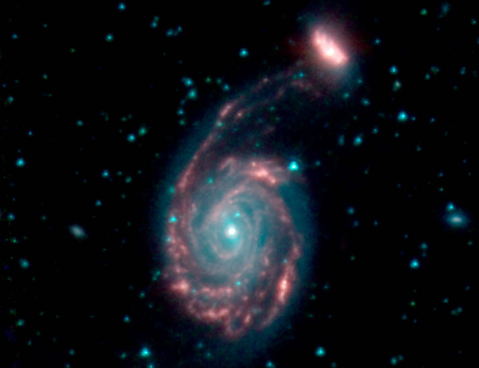 Это изображение показывает слияние двух галактик, известных как NGC 7752 (большая) и NGC 7753 (меньшая), вместе их обозначают как Arp86. На этих изображениях различные цвета соответствуют различным длинам волн инфракрасного света. Синий и зелёный – длины волн, излучаемые звёздами. Красный – длина волны, испускаемая пылью. Источник: NASA/JPL-Caltech 