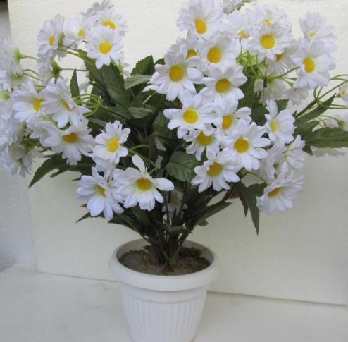 Декоративная ромашка