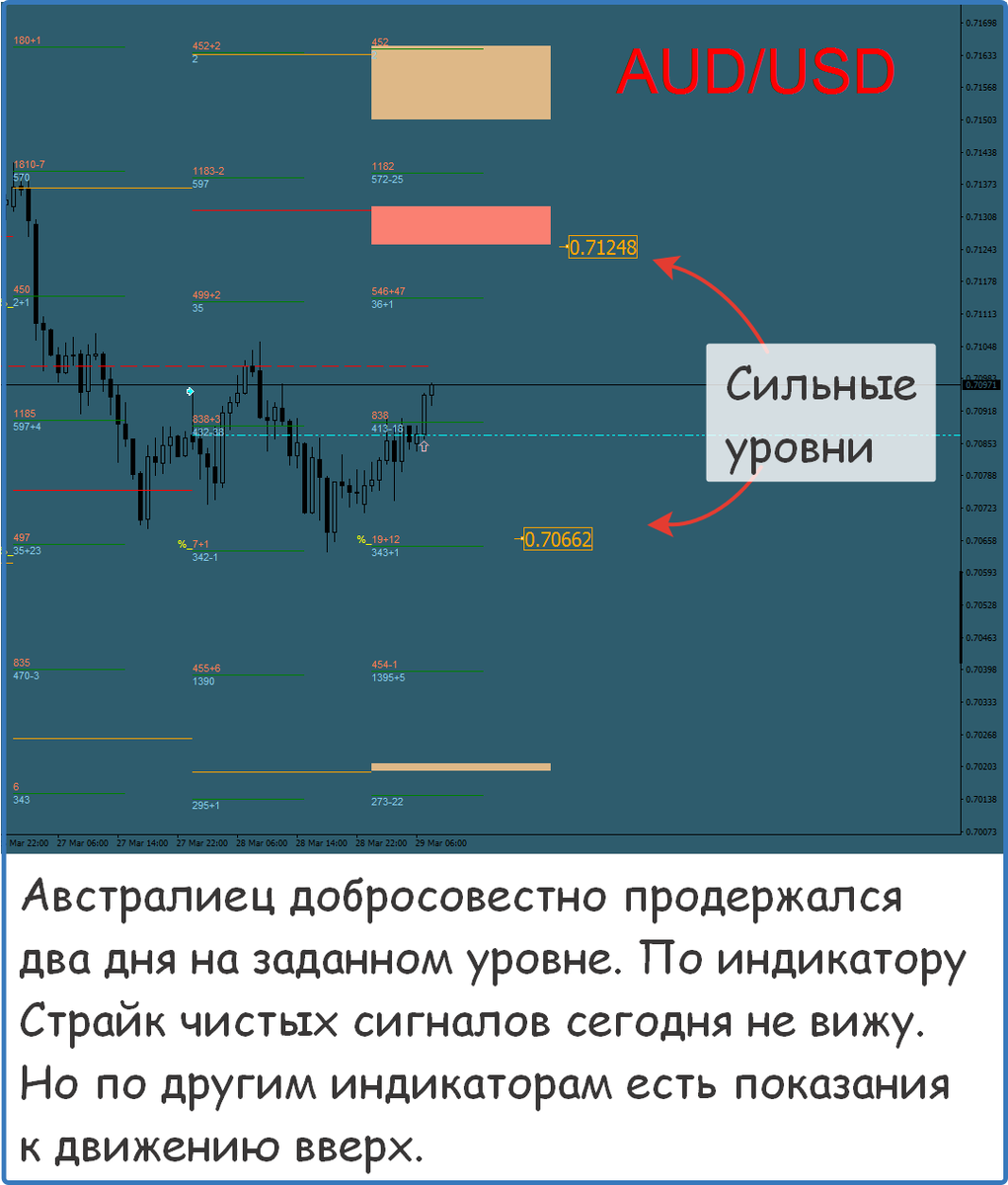 трейдер дзен