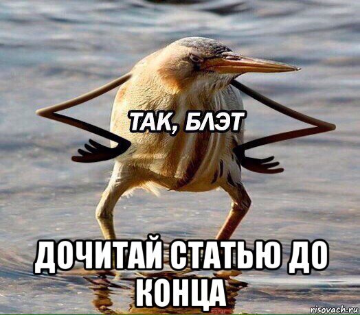 сделано с помощью сайта risovach.ru