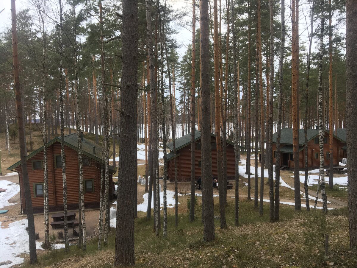Громово парк вид сверху